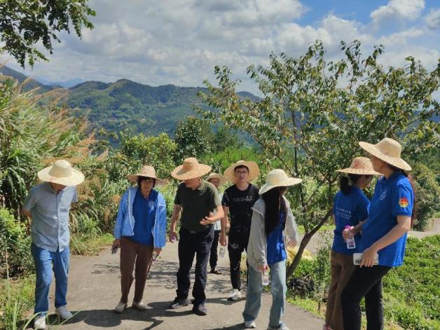师生调研生态茶园